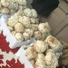 فقع زبيدي بلدي طازج لقط اليوم
