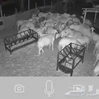 بيتك وحلالك ومشاريعك في امان بعد الله