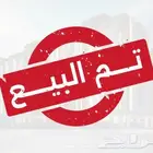 روز البينو قطن