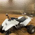 دباب سويدي