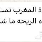 للبيع عود مروكي طبيعي محسن فاخر