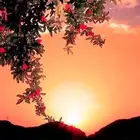 مشروع موقع و تطبيق إلكتروني