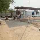 اسطبل ايواء الخيول العربيه الأصيله