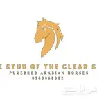 مربط خيل إيواء