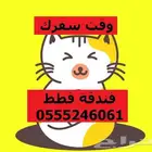 فندقة قطط وطيور 6061 24 0555 وقت سفركم واجازتكم