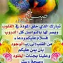 حداد سوداني ماهر
