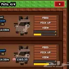 راكون لعبه grow