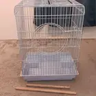 اقفاص ببغاء كبير