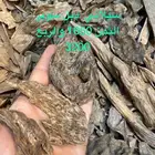 عود . طبيعي هندي. كلمنتان.  بورمي. سيلاني