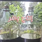 دهن كمبودي بورسات فاخر جدا  جملة