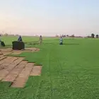 ثيل الخرج C2000 درجة أولى