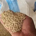 البيع شعير بلد تم البيع