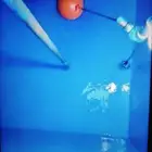 كشف تسربات المياه والعوزل