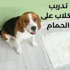 مدرب كلاب برايفت