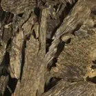 عود لاوسي غابات طبيعيه سوبر ونادر روعه