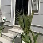 للإيجار فيلا فاخرة بحي القيروان تصميم عصري وموقع مميز-170K