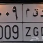 لوحة د ق م 2009