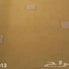 ورق جدران أوروبي جملة