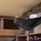 للبيع 4 ازوج قلابي