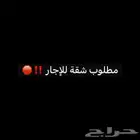 مطلوب شقة للاجار