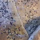 فطوركم عندنا اطلبوها قبلها بساعات واستلموها ساخنه