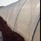 مطلوب بيوت محميه اجار