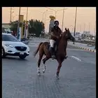 تدريب فروسيه بطريقه احترافيه