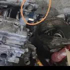 بوابه صني