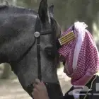 اجار غرف بوايك خيل إسطبل المسيرة حي الصالحية