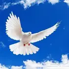 توصيل من الرياض الى الأحساء