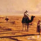 شاعر جزل بسعر رمزي