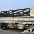 لوري دينا داخل وخارج الرياض
