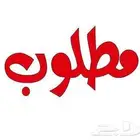 مطلوب صدام خلفي هايلكس 84 85 86