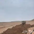 سماد غنم للبيع