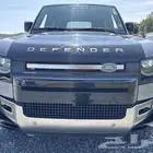 2021 DEFENDER X 110