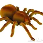 لعبة عنكبوت تحكم عن بعد - عنكبوت مميز بريموت كنترول للاطفال