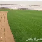 ثيل طبيعي عشب طبيعي