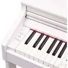 Piano Roland RP 701 بيانو رولاند