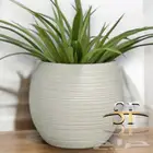 احواض زراعة خارجية من الفايبر الجلاس صافي