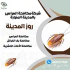 شركة مكافحة حشرات فى المدينة المنورة روز المدينة