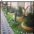 زراعه