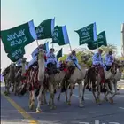 اجار جمال واخيول رحايل وراكبي