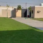 ثيل طبيعي C2000 جوده عاليه جدا مع شبكات الري الحديثه