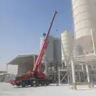 كرينات روافع شوكيه