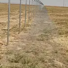 مقاول شبوك