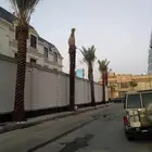 نخل واشنطونيا ونخل بلدي