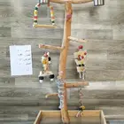 استاند ببغاء خشب طبيعي لجميع انواع الطيور