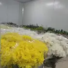 غرف تبريد ورد