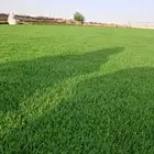 ثيل سئ 2000