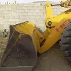 شيول هيلي
